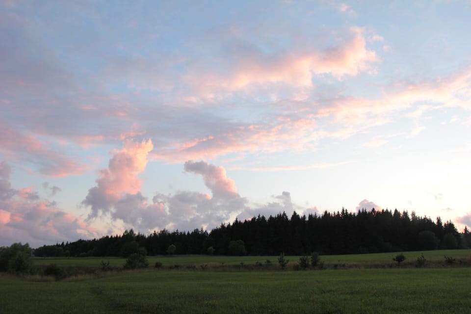 Natural landscape, View (from property/room)
