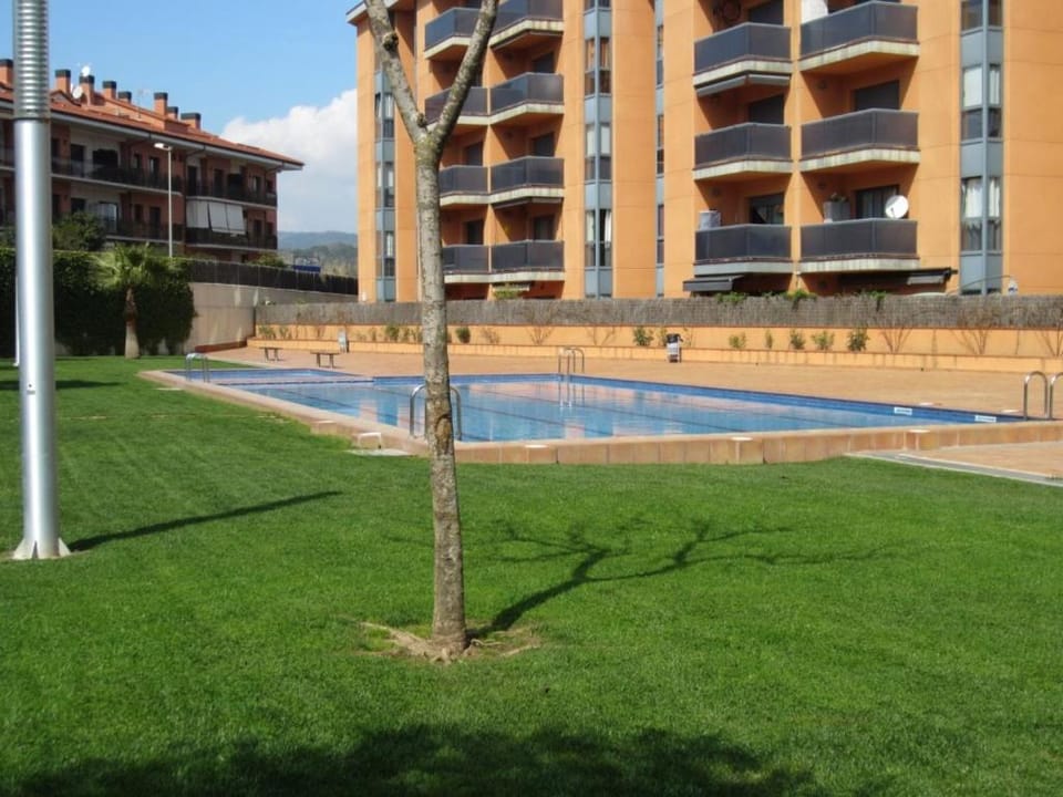 Property building, Garden, Swimming pool