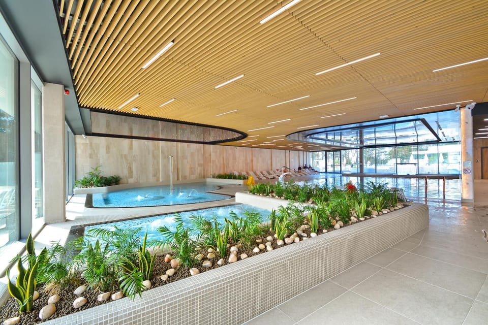 Spa and wellness centre/facilities, Swimming pool