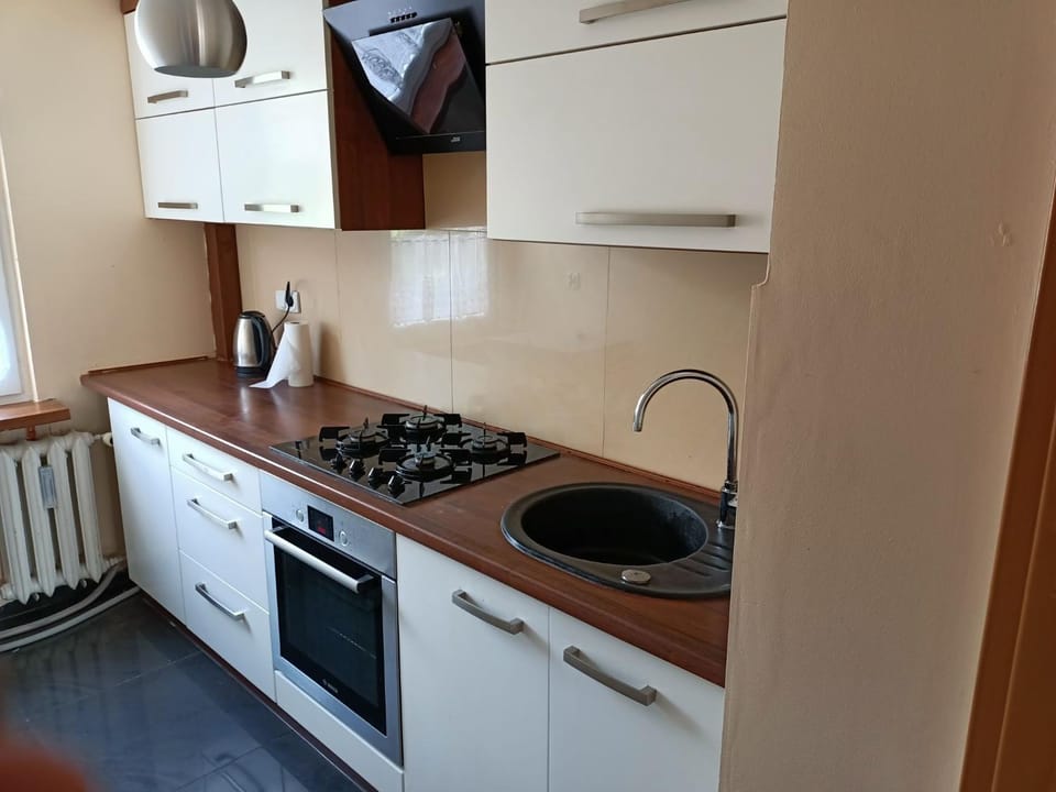 Apartament w Krynicy Zdrój Apartment in Lesser Poland Voivodeship