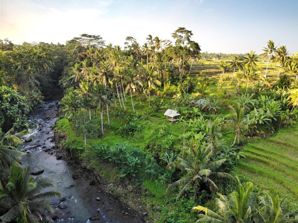 Villa with amazing rice field view between Canggu and Ubud Villa in Marga