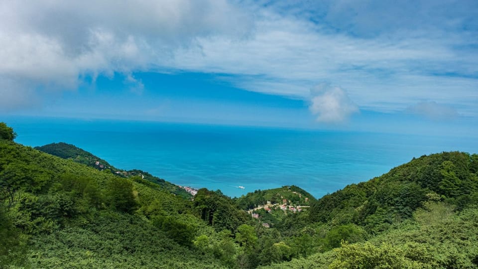 Natural landscape