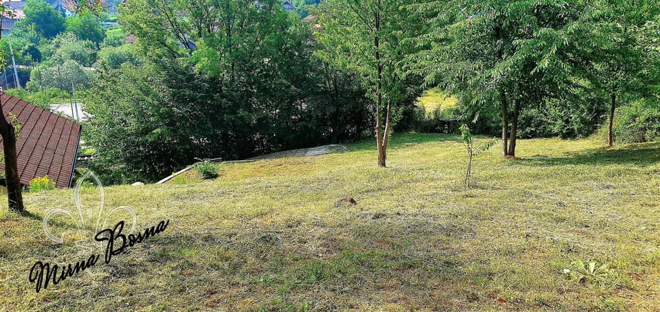 Natural landscape, Garden
