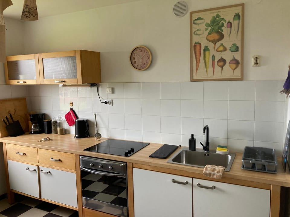 Zara Apartment in Pula