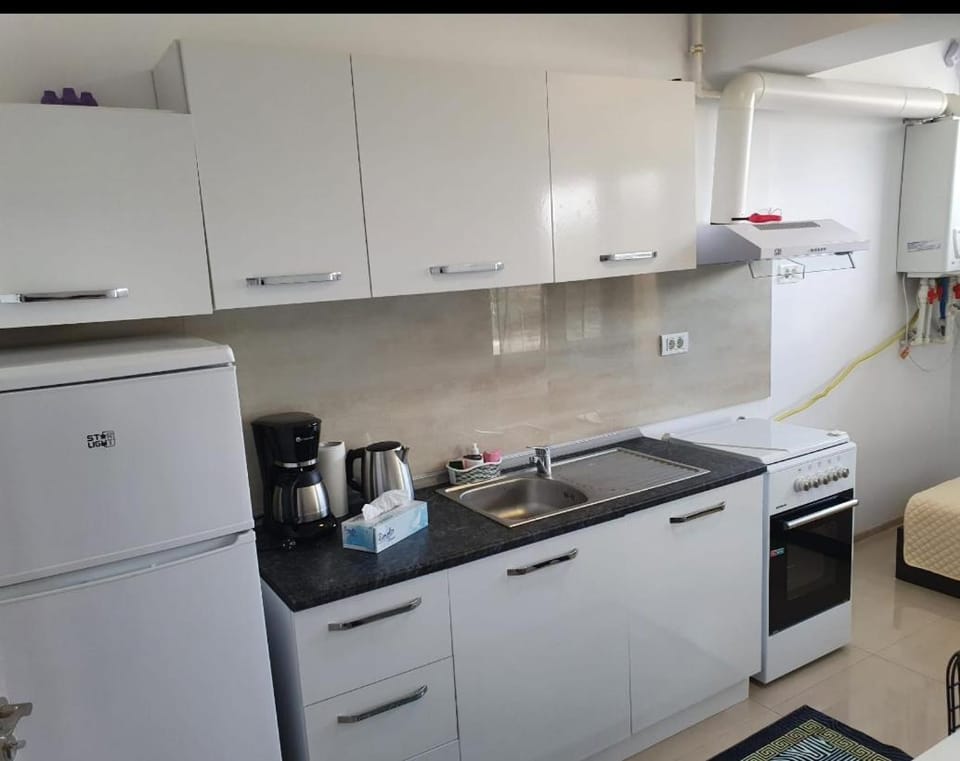 Studio Mady Apartment in Constanța County