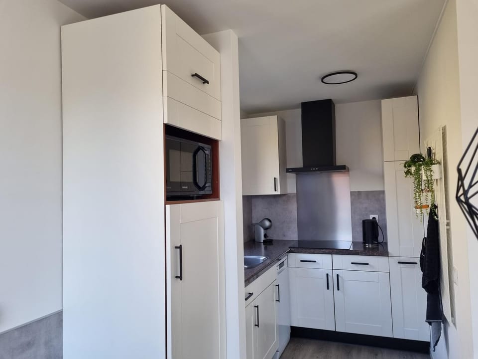 Kitchen or kitchenette, dishwasher, stove