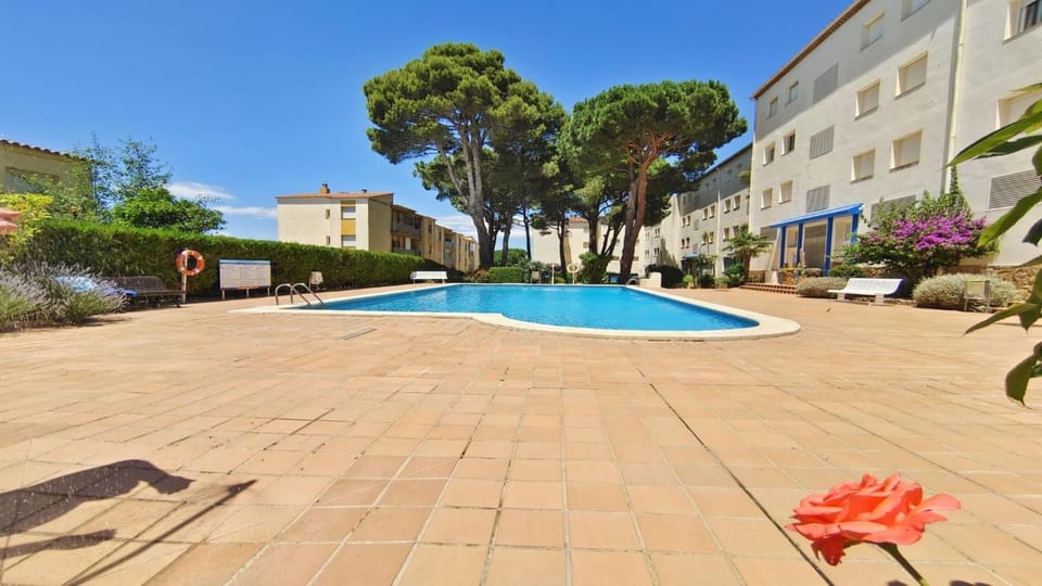 Property building, Pool view