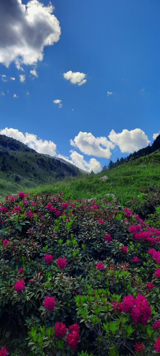 Hiking