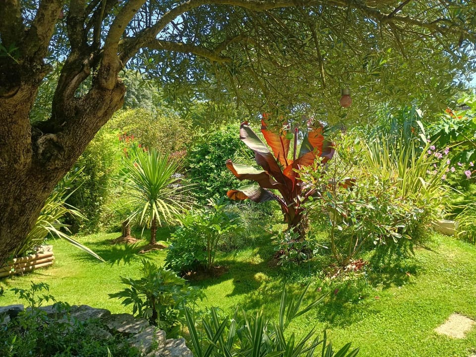 G1 les oliviers House in Pays de la Loire