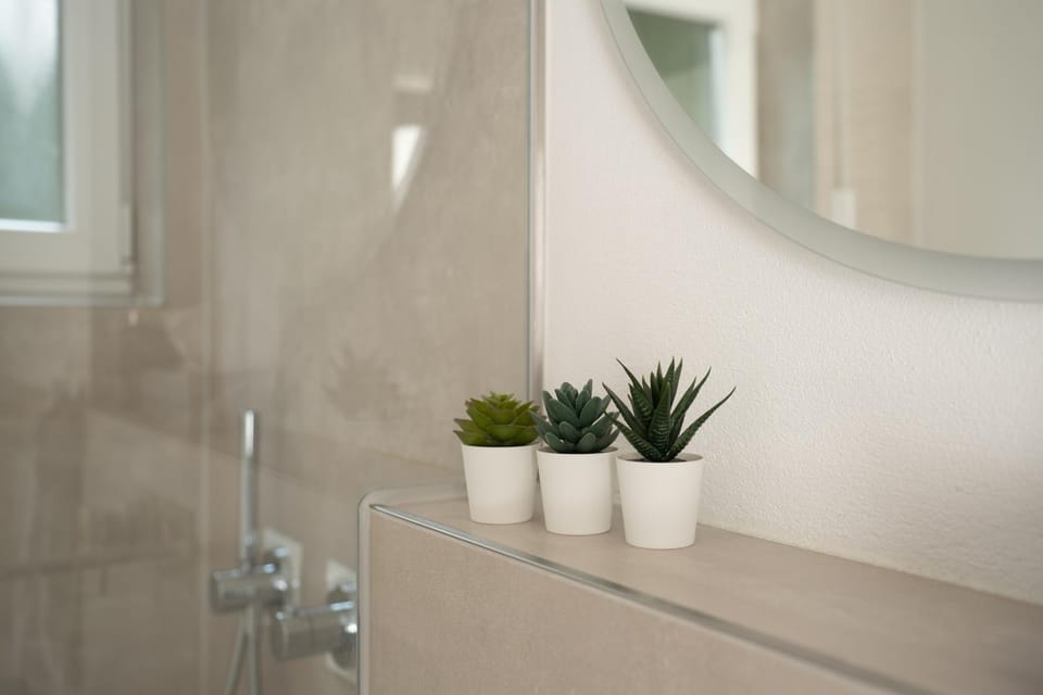 Bathroom, Living room