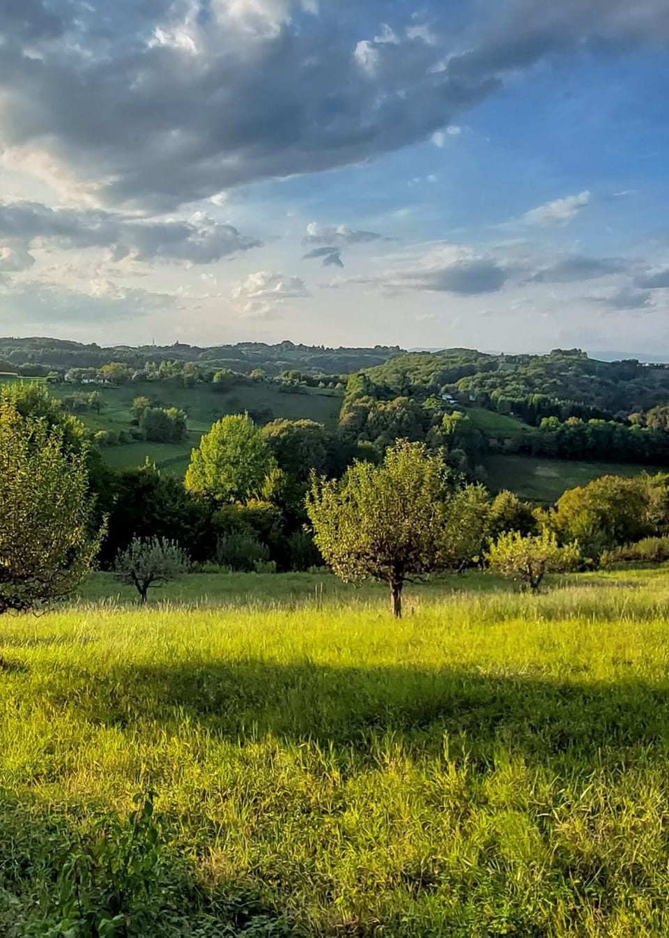 Natural landscape