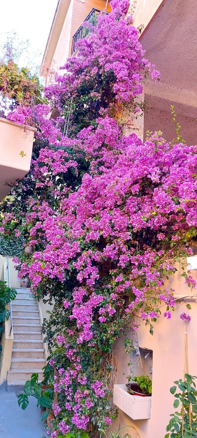 Elisa e Carla House Beautiful apartments on the Cassia Apartment in Rome