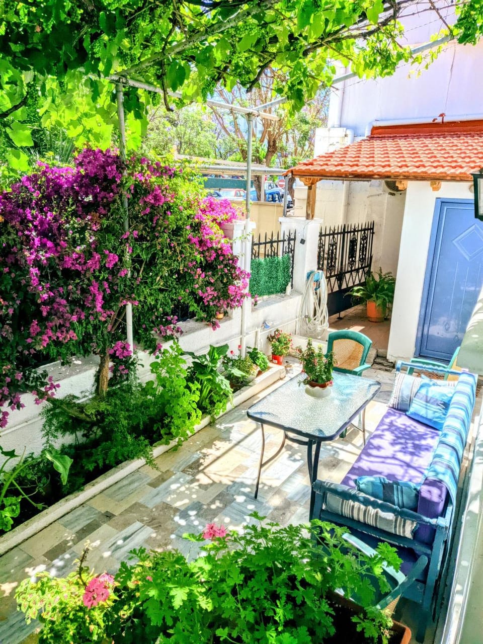 House with garden in city of Rhodes House in Rhodes