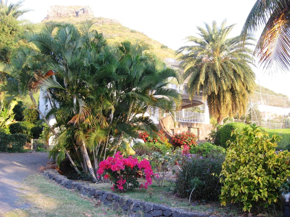 BBQ facilities, Garden, Garden view, Swimming pool