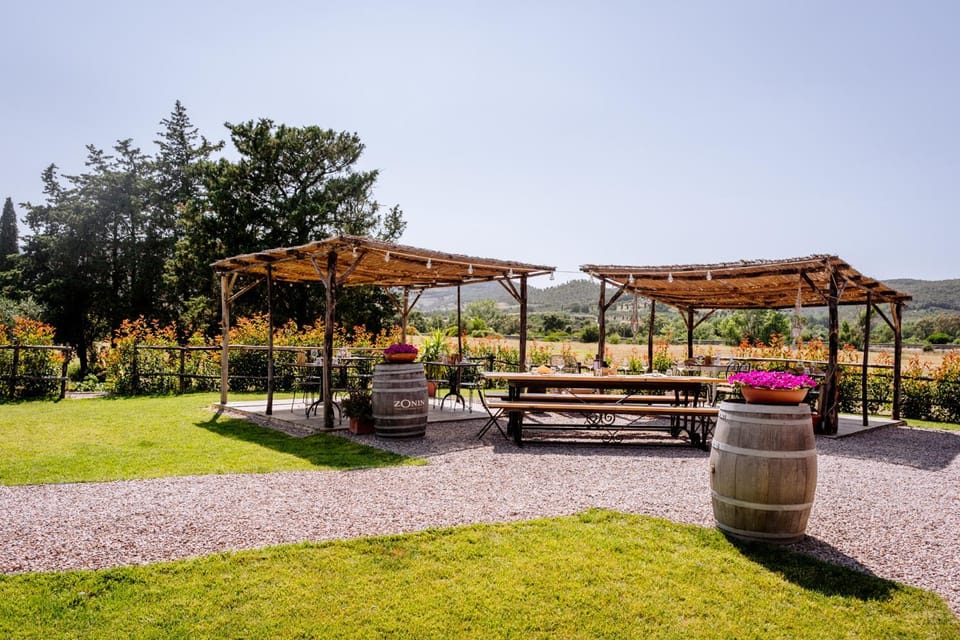 Day, Garden view