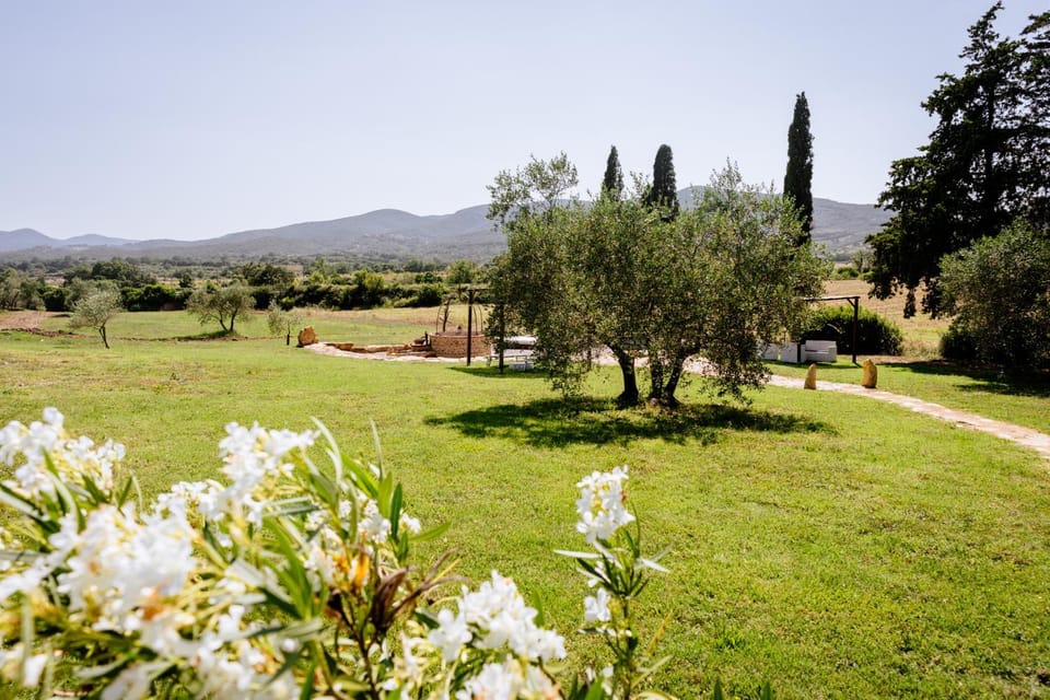 Day, Natural landscape, Garden view