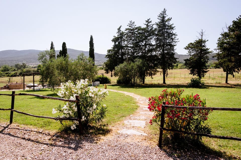 Day, Natural landscape, Garden, Garden view