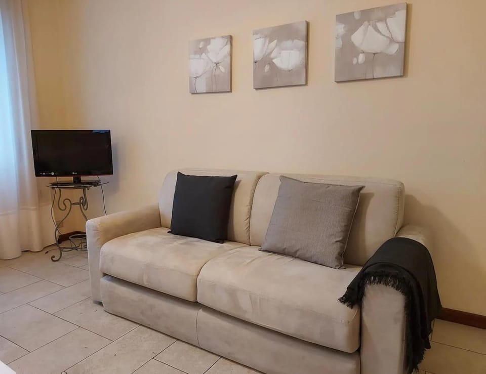 Communal lounge/ TV room, Living room, air conditioner