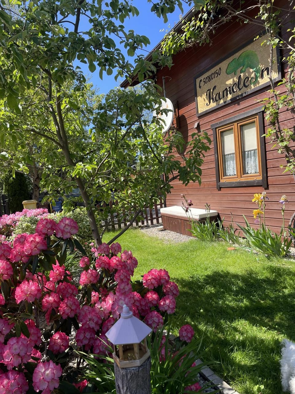 Kameleon Dźwirzyno Campground/ 
RV Resort in West Pomeranian Voivodeship, Poland