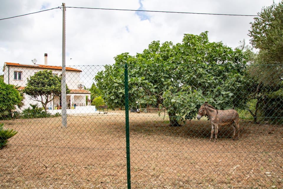 Villa del Lupo Bed and Breakfast in Sardinia