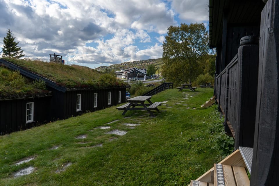 Spring, Garden, Garden view