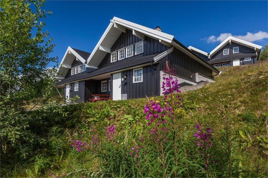 Property building, Spring, Day