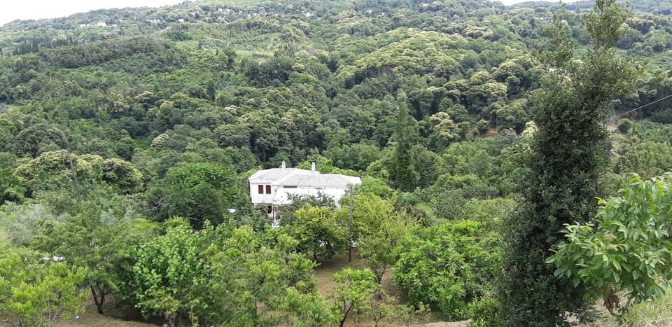 Casa verde ver House in Magnesia Prefecture, Greece