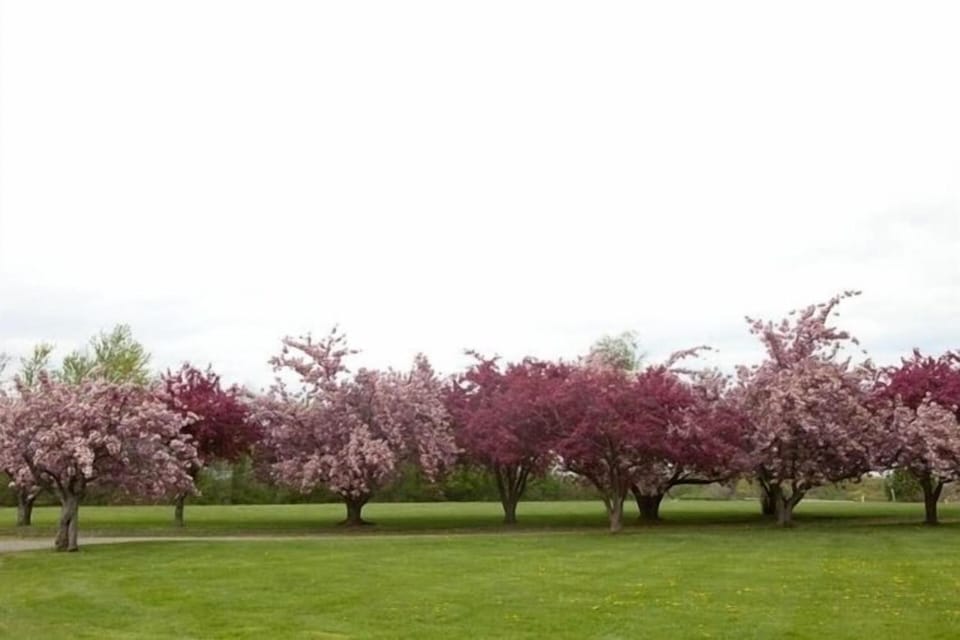 Hamptons North House in New York