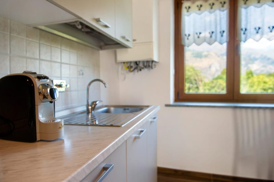 Kitchen or kitchenette, dishwasher, stove