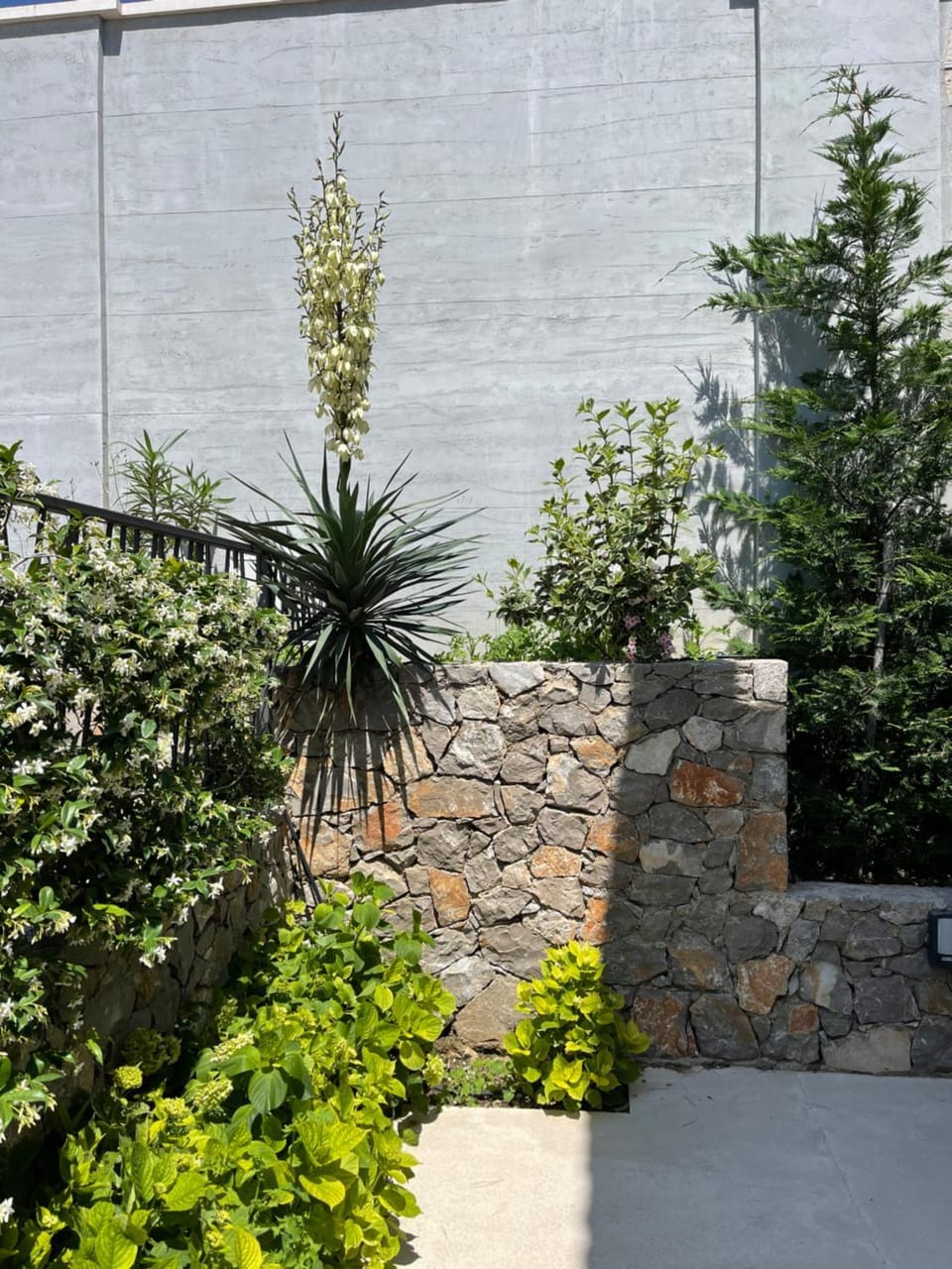 Villa Pine Villa in Montenegro