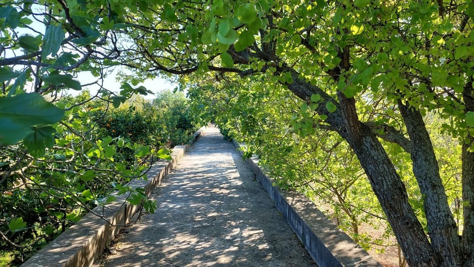 Bella Cisterna Apartment hotel in Decentralized Administration of the Aegean