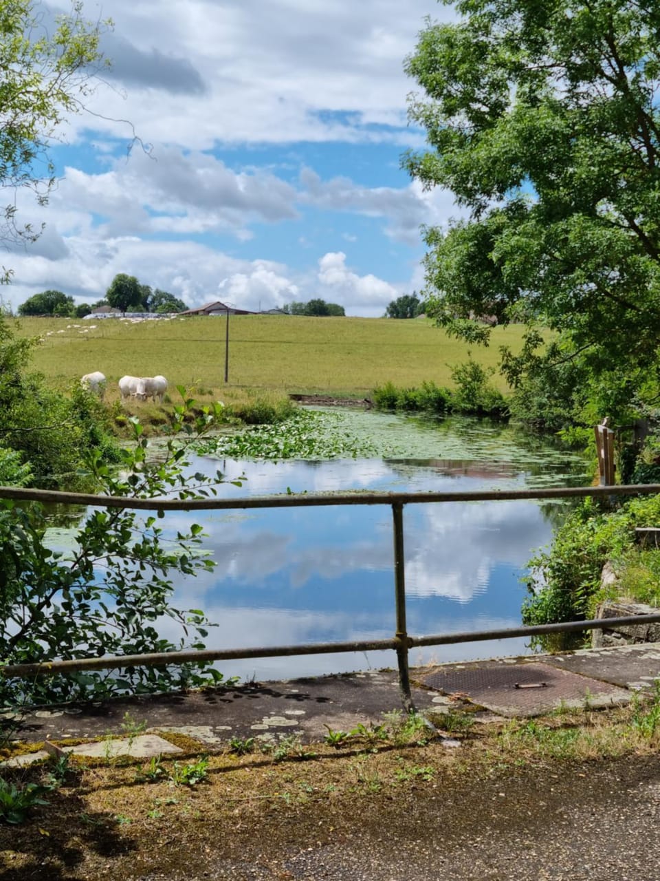 River view