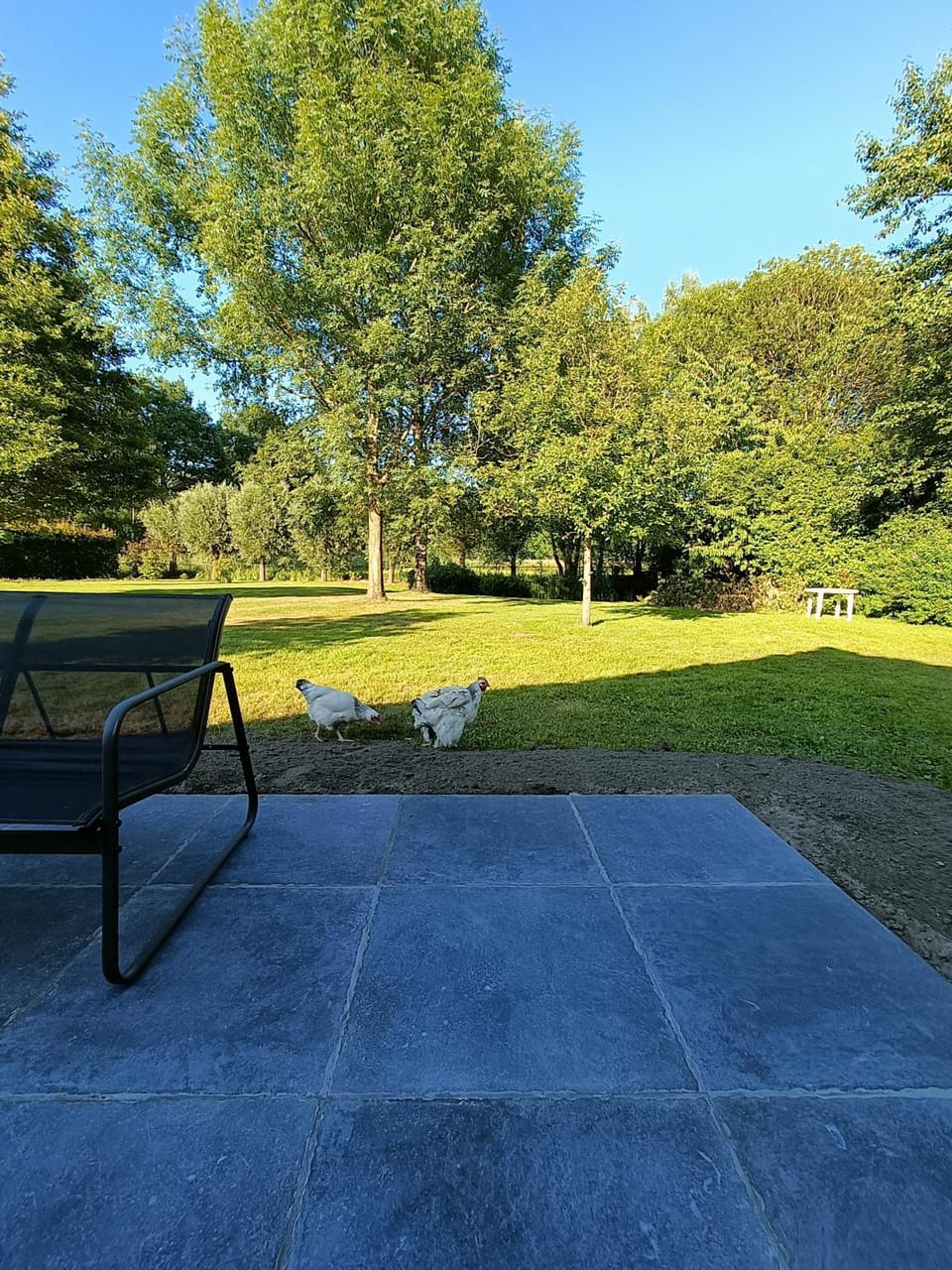 Garden, Balcony/Terrace, Garden view