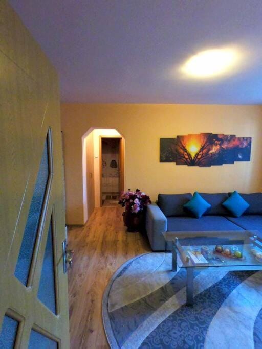 Happy place :) Apartment in Serbia