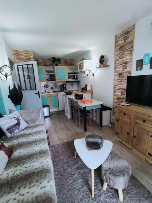 Superbe T2, à 100 mètres des pistes Apartment in Auvergne-Rhône-Alpes