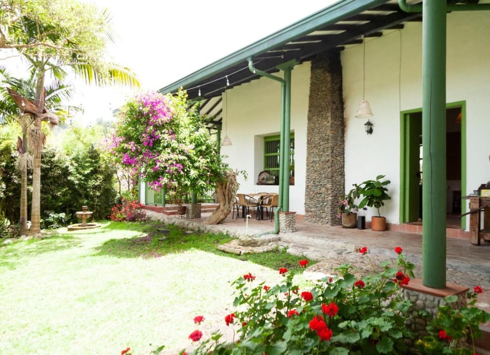 Patio, Day, Garden, Garden view