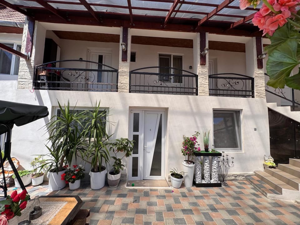 Casa RIO Bed and Breakfast in Romania