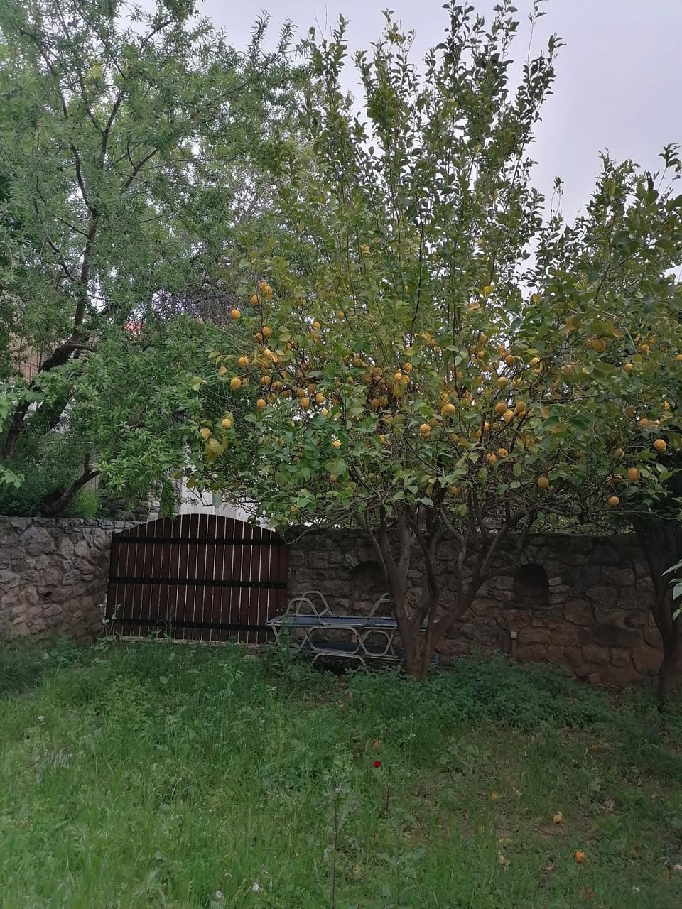 Villa Lithos Villa in Euboea