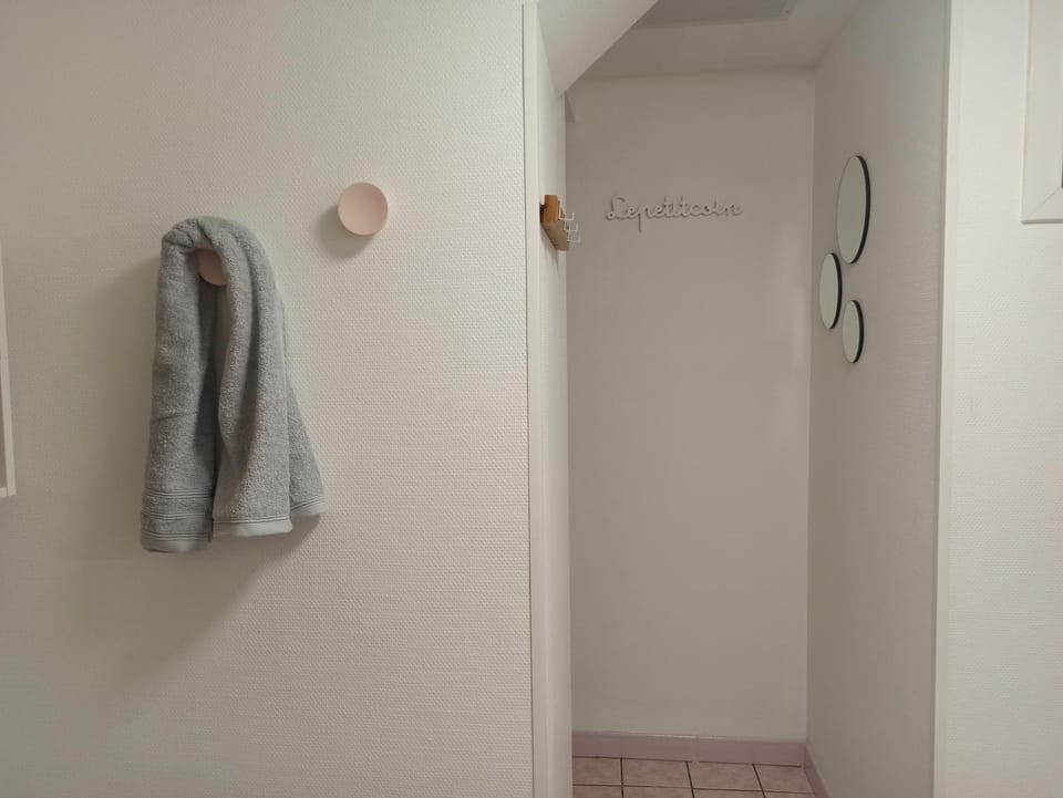Le Saint-Jacques - Hypercentre Apartment in Nouvelle-Aquitaine