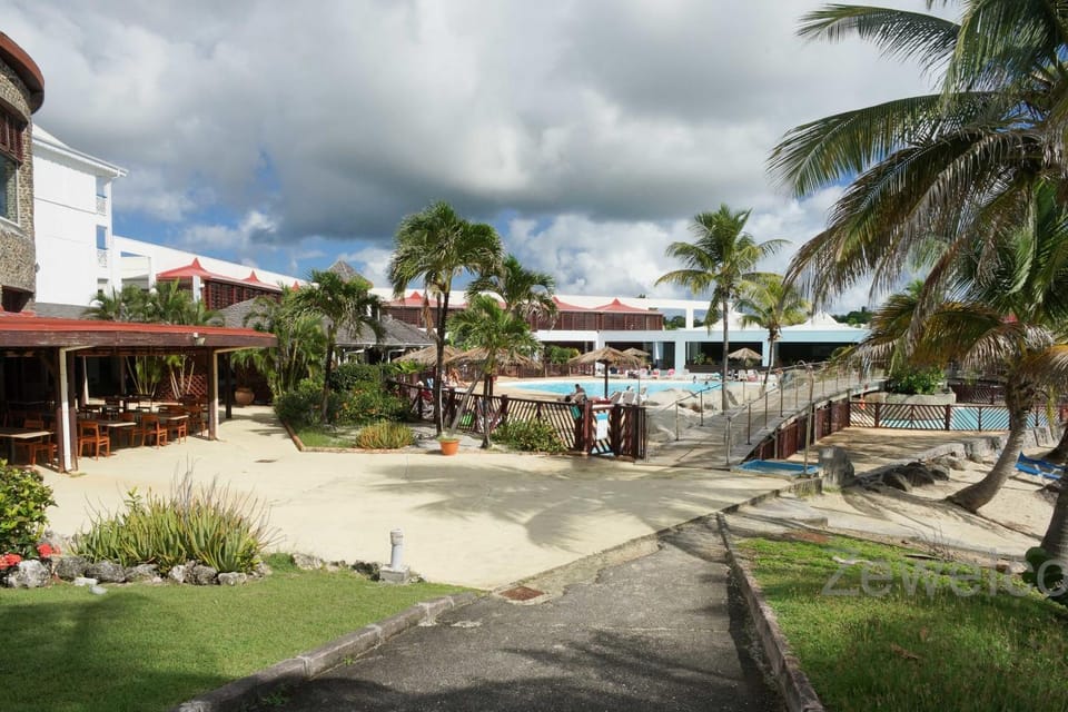 Garden, Pool view, Swimming pool