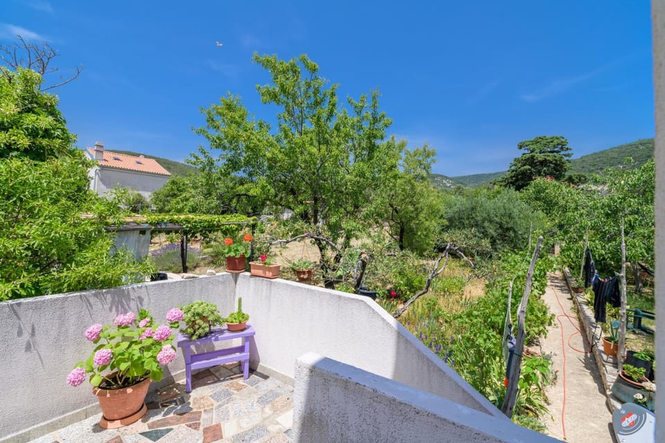 Natural landscape, Garden view