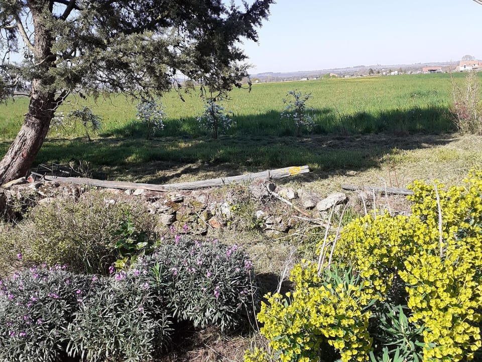 Gîte charmant avec jardin au cœur du vignoble du Layon, proche Saumur, 9 couchages, vélos inclus - FR-1-622-19 House in Pays de la Loire