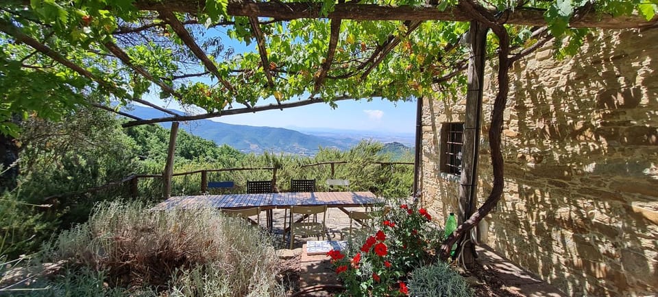 Natural landscape, Dining area