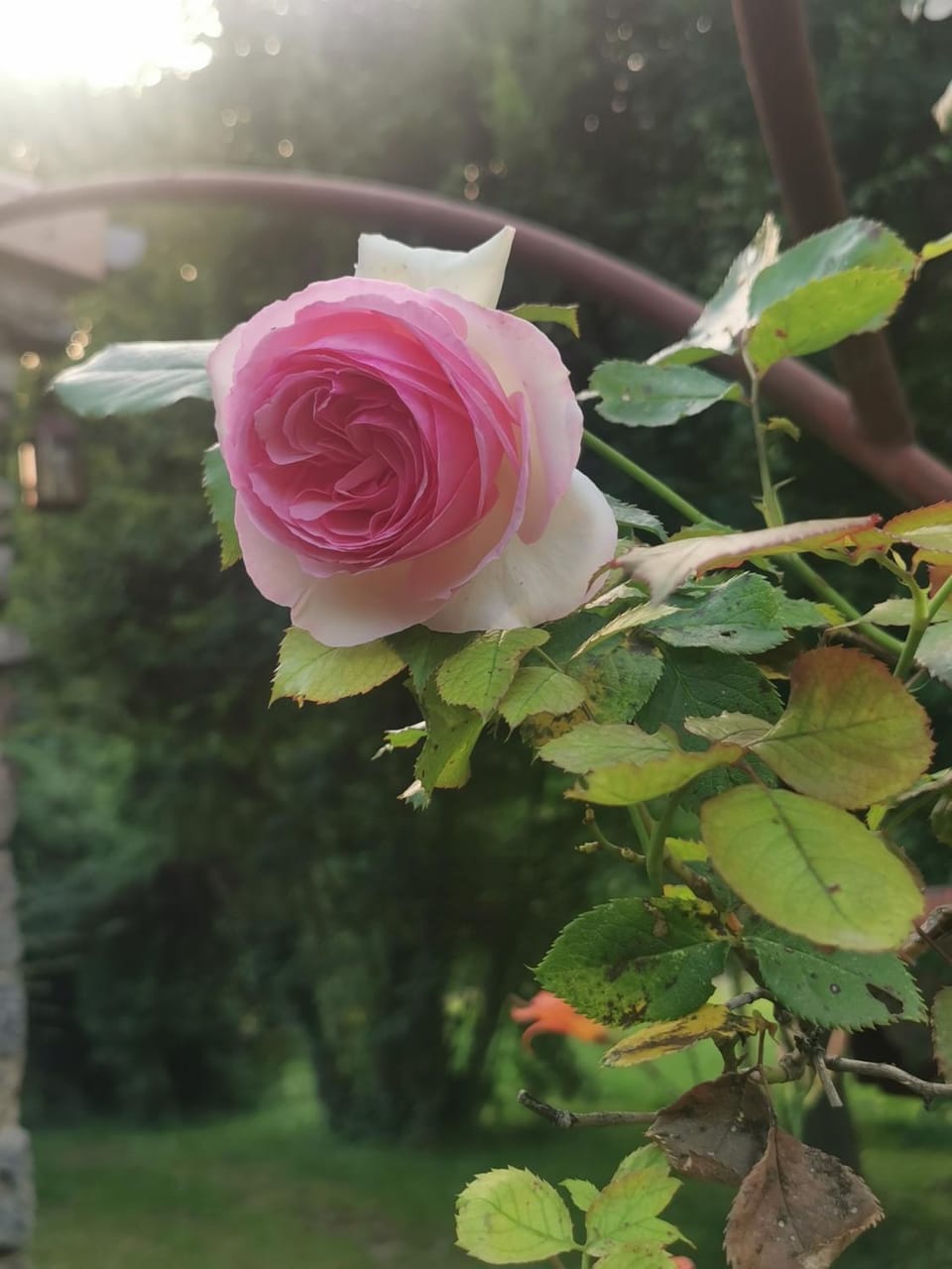 A PAS D ANE Bed and Breakfast in Provence-Alpes-Côte d'Azur