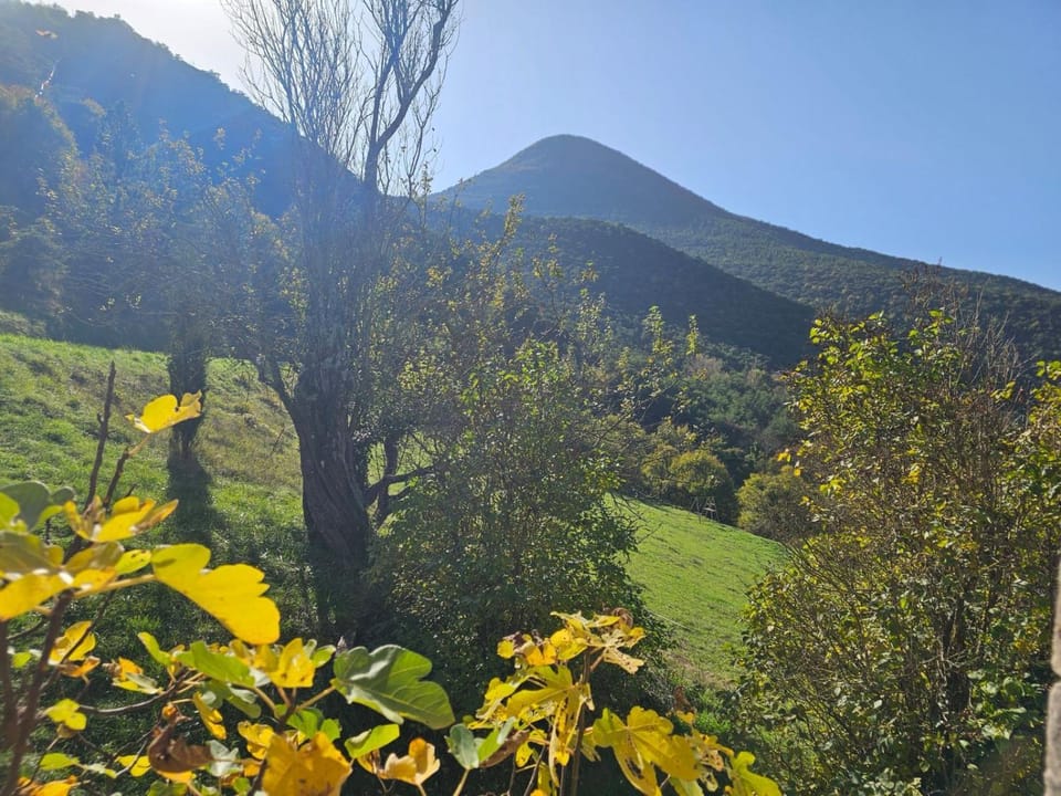 A PAS D ANE Bed and Breakfast in Provence-Alpes-Côte d'Azur