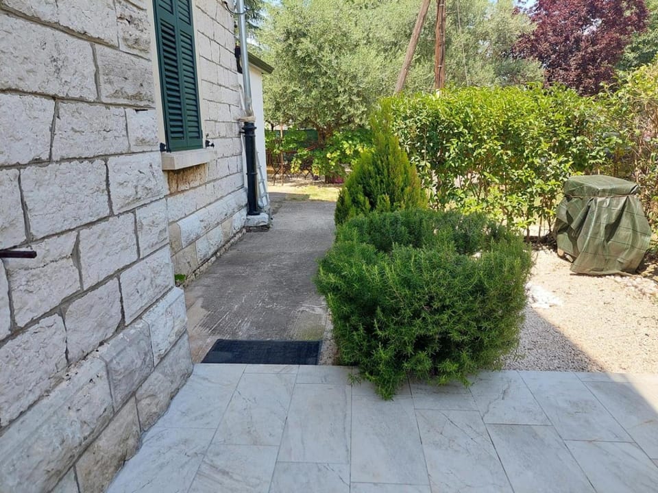 Patio, Garden