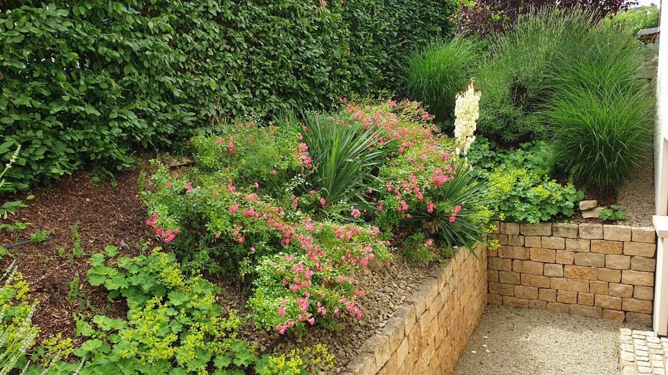 Day, Garden, Seating area, Garden view