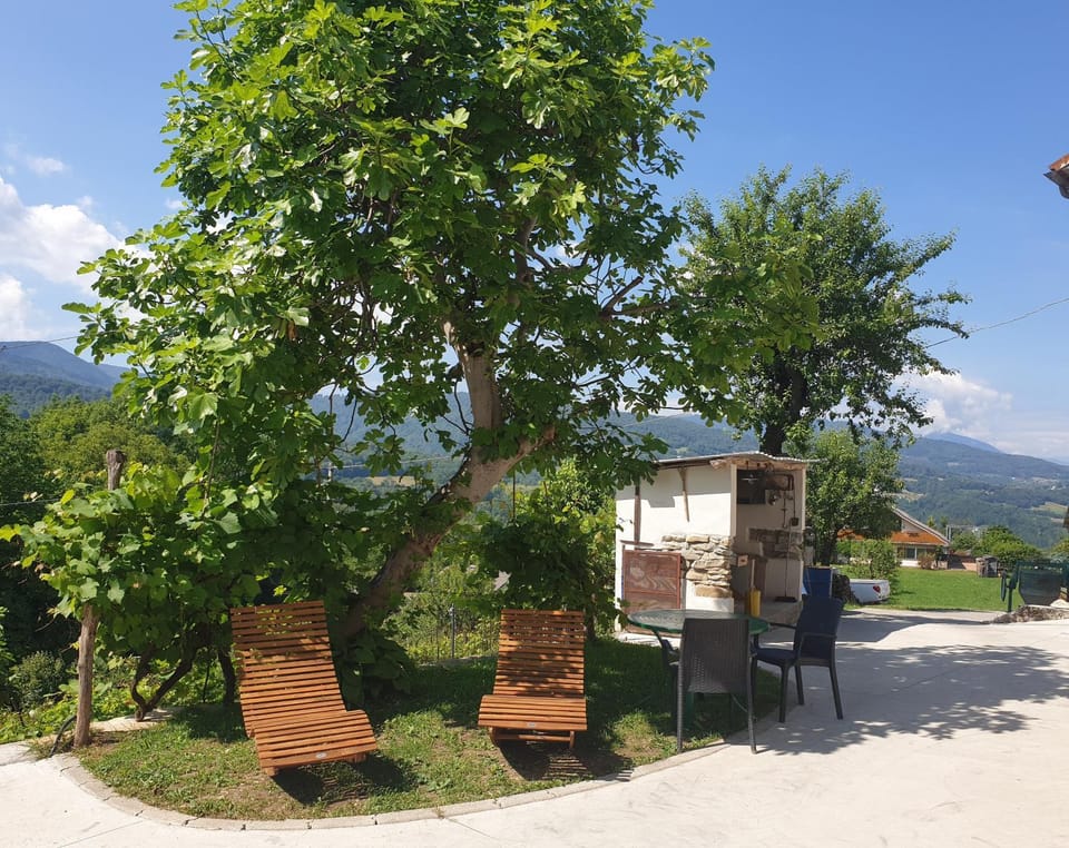 Garden, Garden view