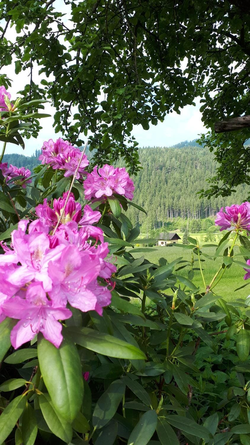 Landhaus Fuggermühle House in Carinthia, Austria