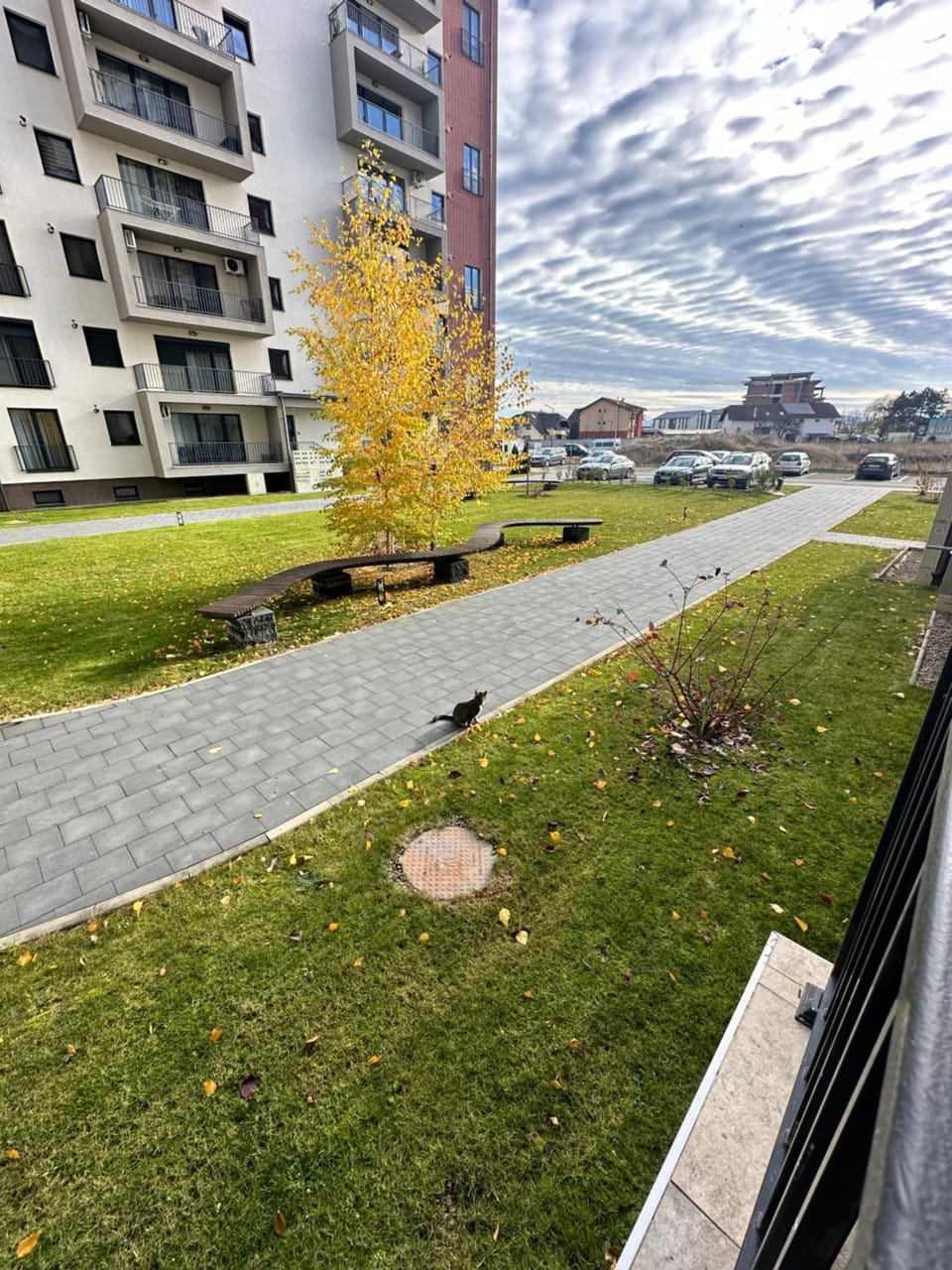 Property building, Day, Neighbourhood, Natural landscape, Garden, Street view